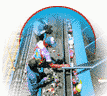 MRF Sorting Line Conveyors