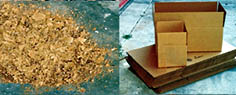 Cardboard