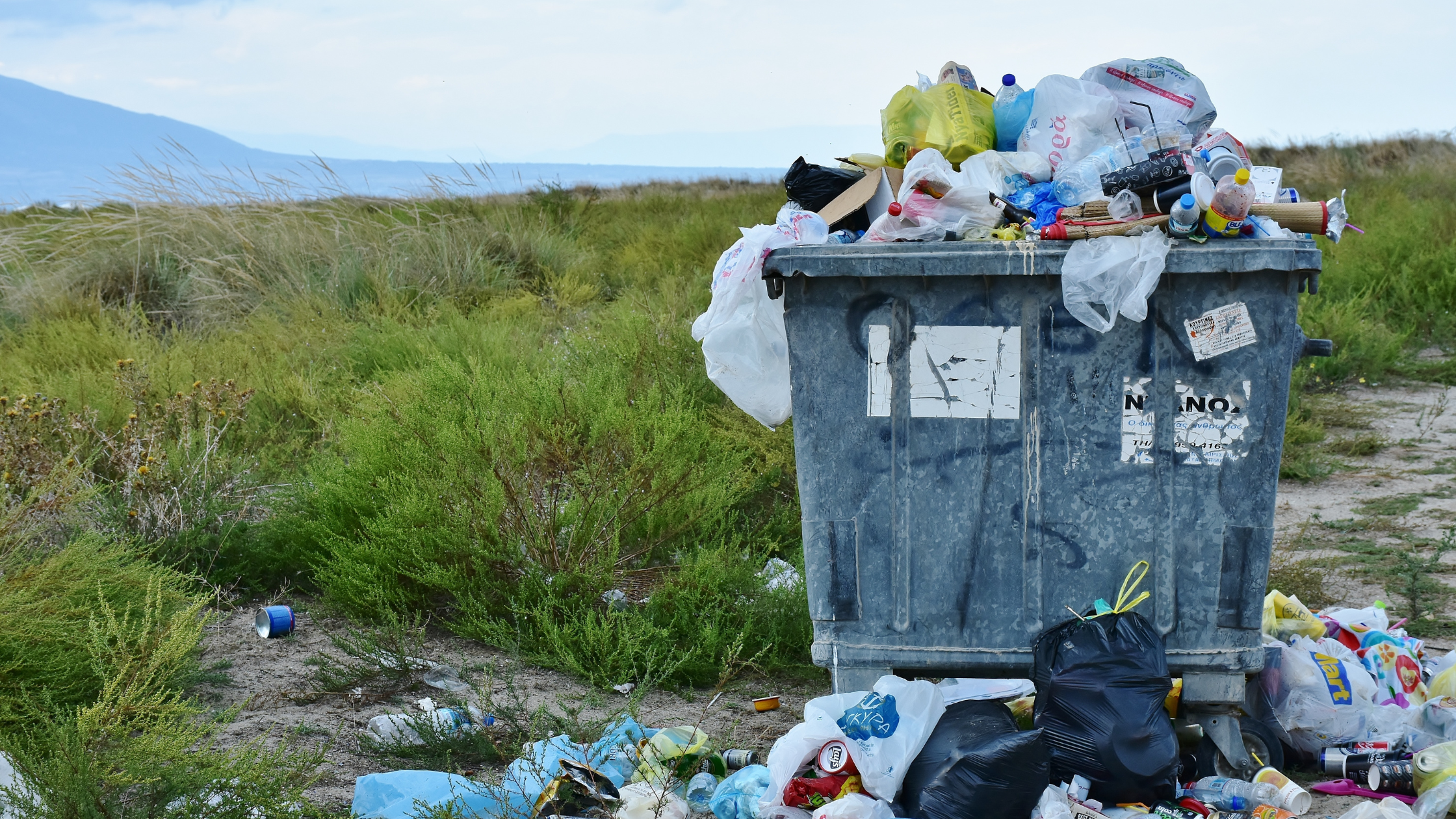 Durable Waste Disposal Carts California Businesses Rely On for Daily Operations