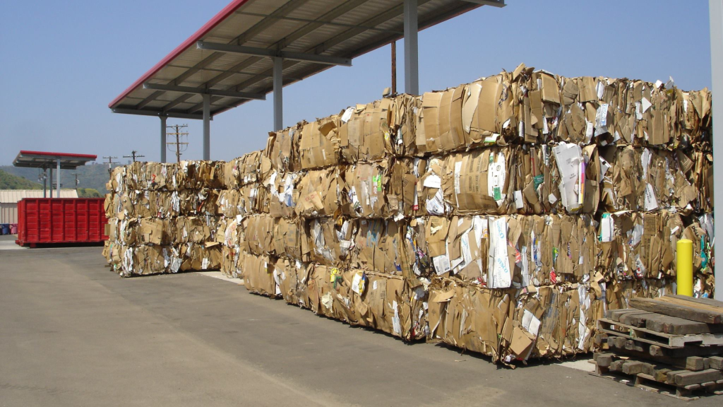 Medical Waste Services in Paramount, CA