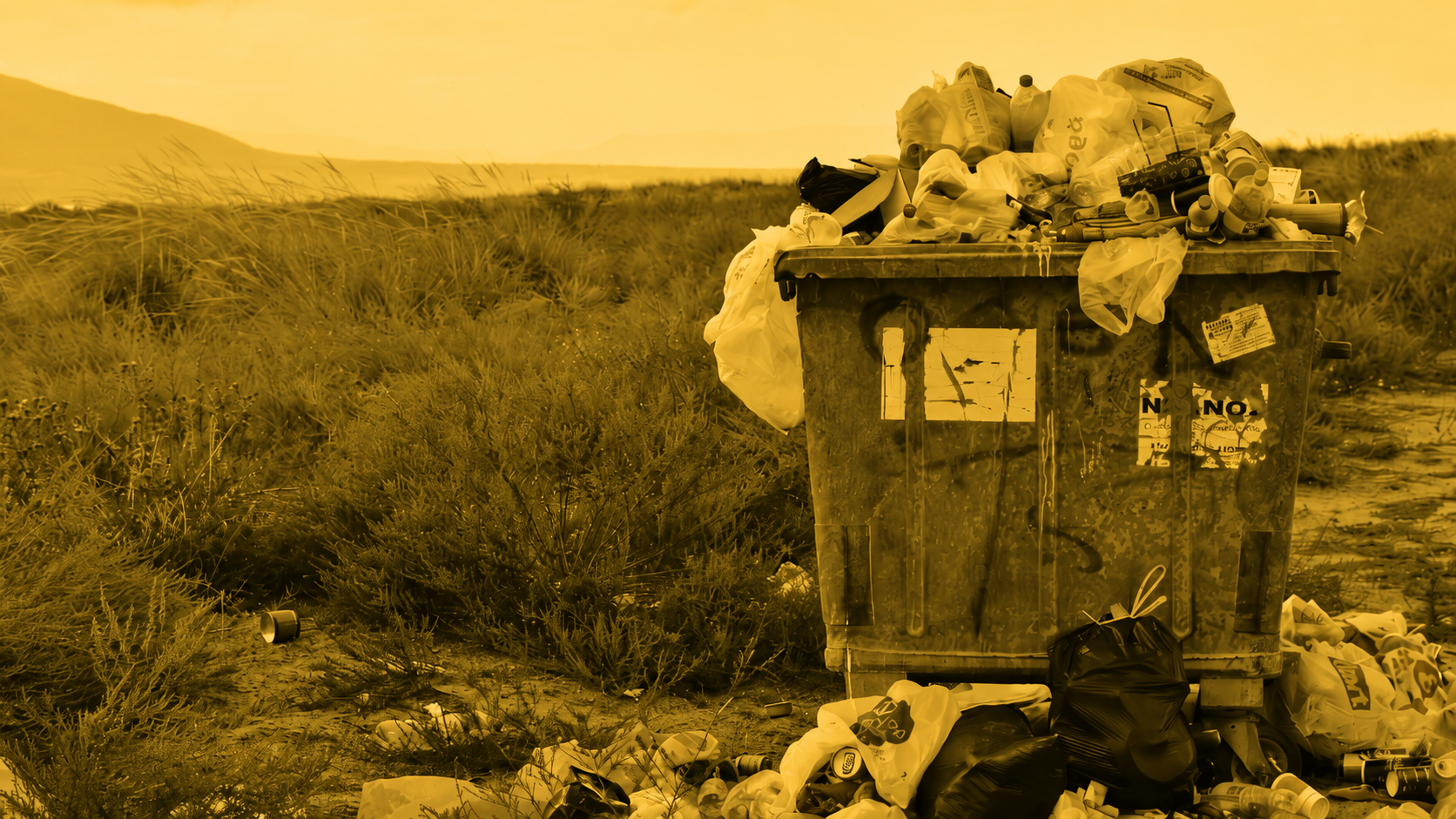 Food Digester